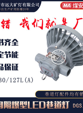 销售巷道灯厂家 LED巷道灯DGS30/127L   30W 127V圆形巷道灯