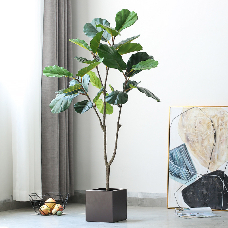 北欧植物盆栽琴叶榕浇水绿植落地免大型盆景室内创意摆件盆栽