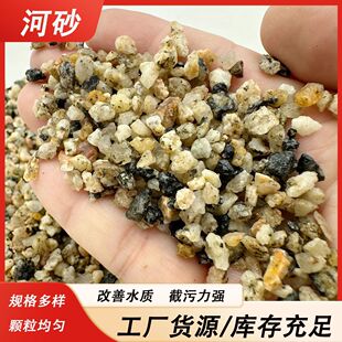 厂家批发河砂水洗烘干用建筑沙水泥砂浆河沙细沙粗砂工厂消防沙