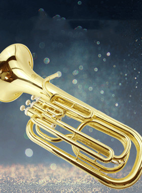 MARGEWATE麦格维特降B调三立键次中音号抱号乐器MAS-305初学专