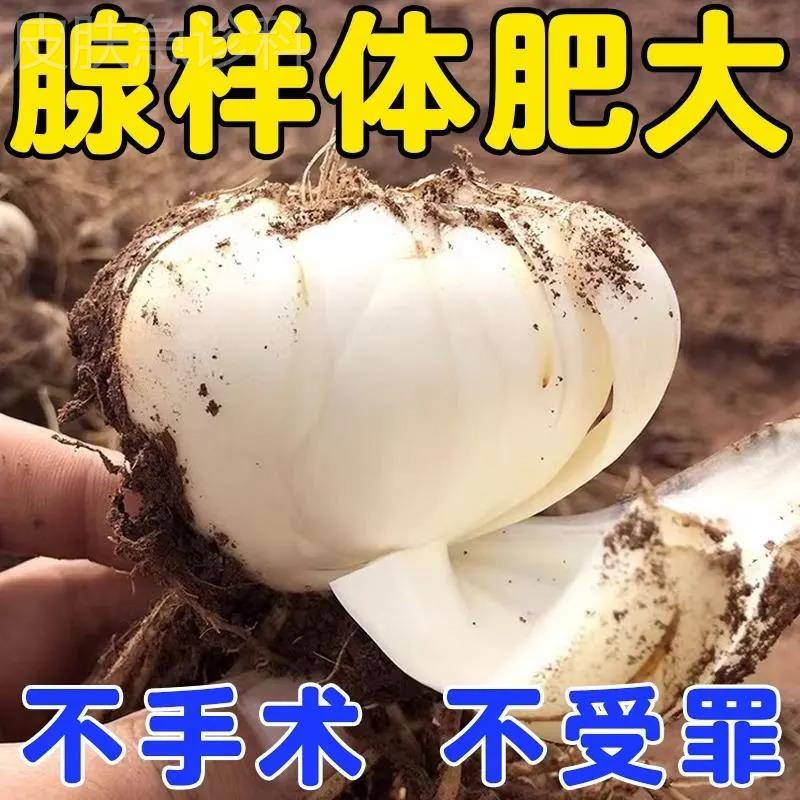 【特效中草药】腺样体肥大儿童面容矫正器张口呼吸打鼾中药调理