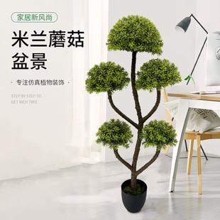 新款 饰绿植 仿真米兰蘑菇盆景四季 常青家居耐用坚固植物摆件门店装