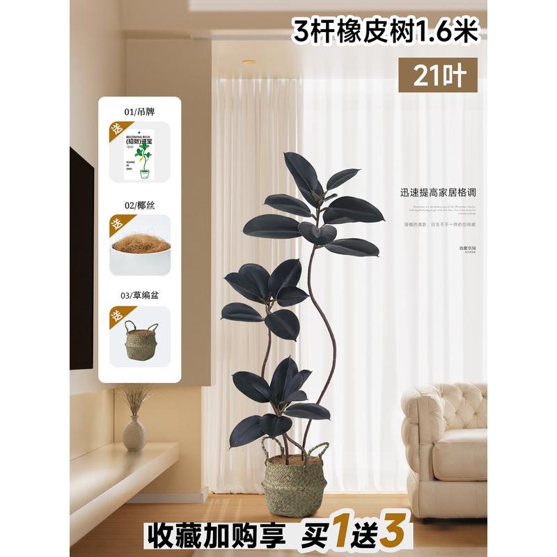 仿真绿植仿生橡皮树室内客厅大型盆栽高端轻奢黑金刚假树植物摆件