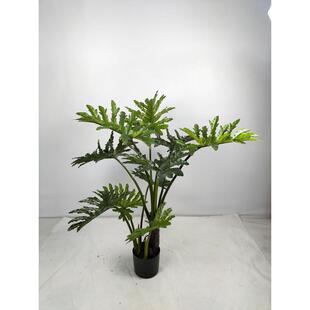 仿真植物仿真龟背竹芋芋春喜林芋软装造景落地绿植客厅摆设