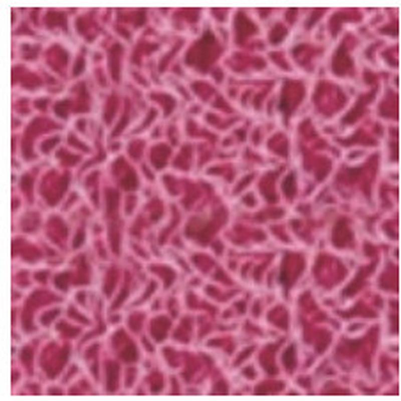 写字楼商务大厦进门地垫地毯走廊抗收缩输水丝圈地垫开业楼梯垫