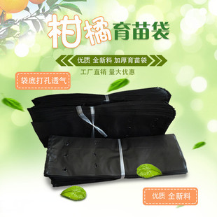 黑色育苗杯营养杯加厚农用塑料花盆种植袋一次性营养袋批发多规格