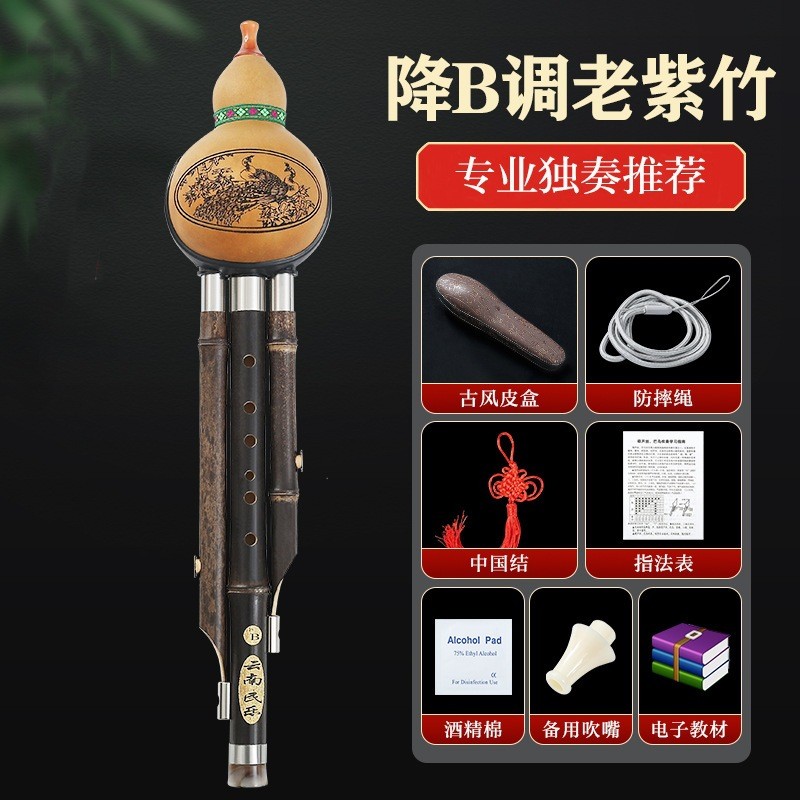紫竹葫芦丝c调小学生用专业演奏型儿童降b调初学者防摔丝芦胡乐器