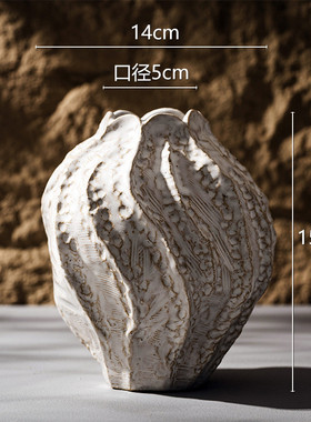 北欧temu陶瓷花瓶家居摆件水培客厅卧室简约装饰创意