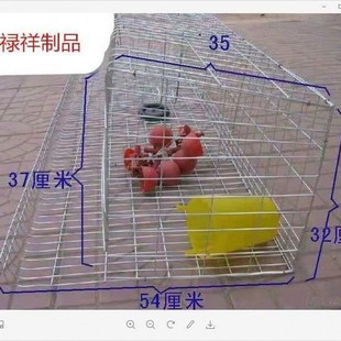镀锌铁丝笼子 鸡笼养鸡家用养殖场蛋鸡笼子鸡鸭特大号三层门阶梯式