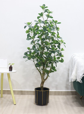 北欧室内客厅落地摆放福禄塑料鸭脚木仿真植物盆栽桐新款绿植盆景