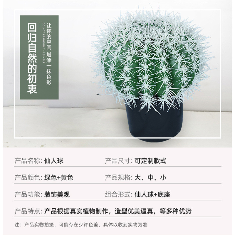 摄影道具居家室内装饰仙人球盆栽人造装饰假绿植摆件仿真仙人掌
