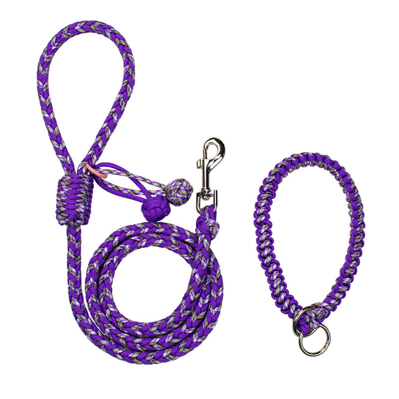 货源新品彩色编织狗狗宠物牵引绳小中大型犬项圈牵引带