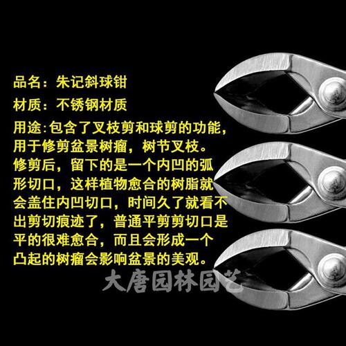 朱记球斜不锈钢钳斜球剪盆景造型舍利干制作园艺盆栽工具量大从优