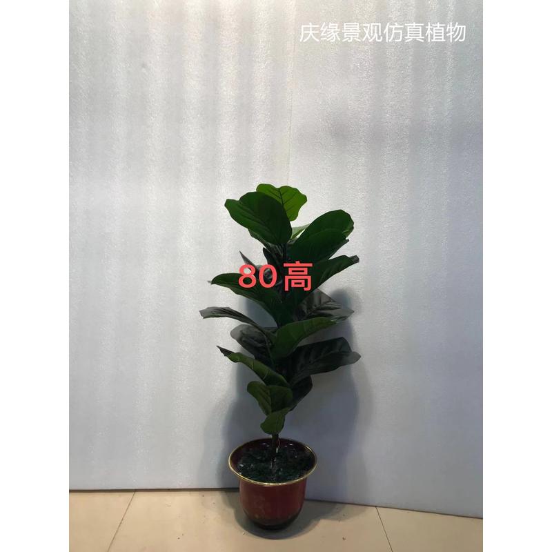 仿真琴叶榕仿真植物室内客厅办公室装饰落地桌面仿真盆栽绿植摆放
