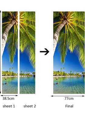 湖边funlife棕榈树木门翻新客厅门创意自粘装饰防水门贴dm033
