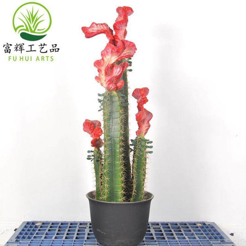 仿真火麒麟组合鸡冠仙人柱花盆栽套装仙人掌家居装饰道具摆件批发
