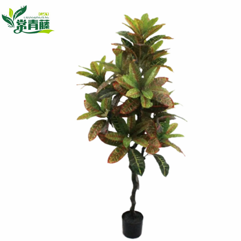 新款仿真洒金榕变色木绿植盆景酒店民宿装饰绿植观赏假盆栽