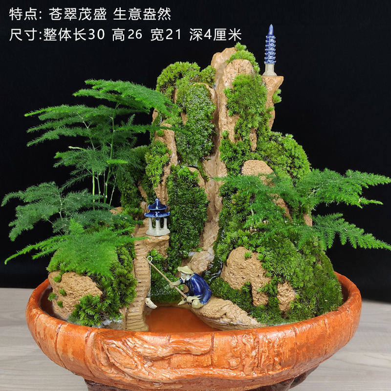 绿植文竹山水盆景罗汉松清香木盆栽老树桩大小植物室内假山miq