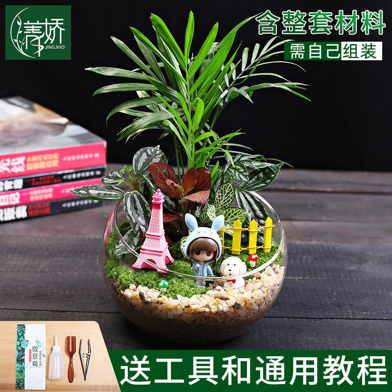 diy材料15cm切口苔藓微景观包礼品玻璃球生态瓶子摆件创意物套装
