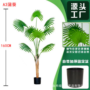 仿真蒲葵绿植盆栽假植物北欧风仿真室内装饰客厅摆件景观扇葵