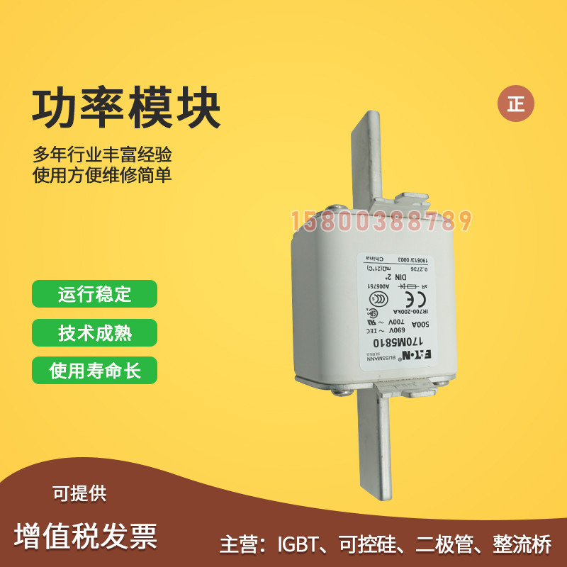 快速熔断器保险丝170M5814D 170M5816D 170M5817D 170M5820D