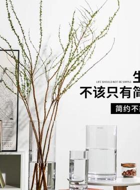 玻璃富贵竹客厅插花透明ins风马醉木吊钟水培器皿养花瓶摆件