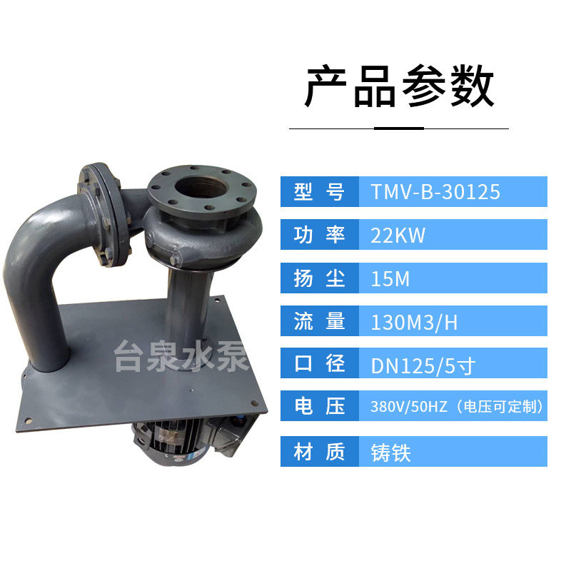 热销台泉牌液下泵双管立式铸铁 东元长轴排污泵 槽内侵入式液下泵
