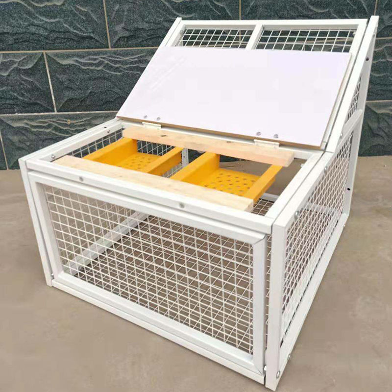 鸽子门笼进出门信鸽赛鸽用品鸽舍只进不出笼门撞跳电子跳笼