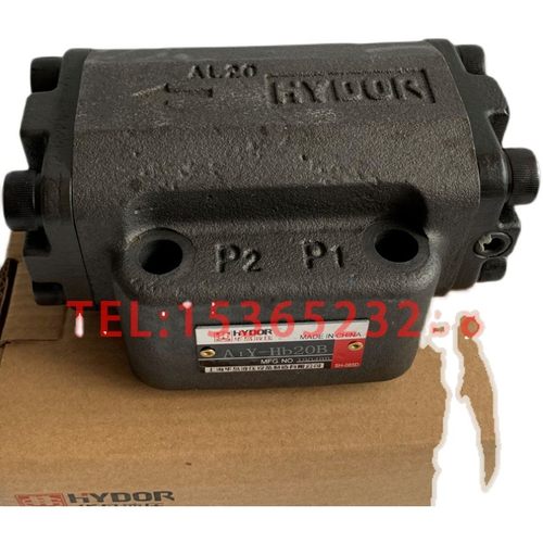 HYDOR AL10 AL20 HYD0R 压滤机单向阀 A1Y-H610B A1Y-H010B 20B