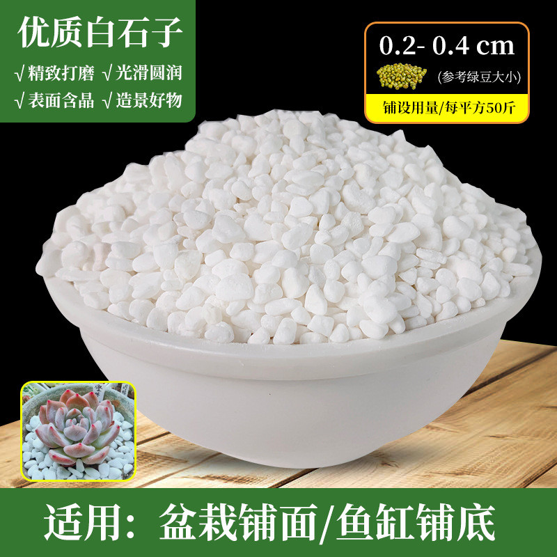 白色石子砾石鹅卵石南京湖北厂家雪铺路园林花白雨花石碎石水洗石