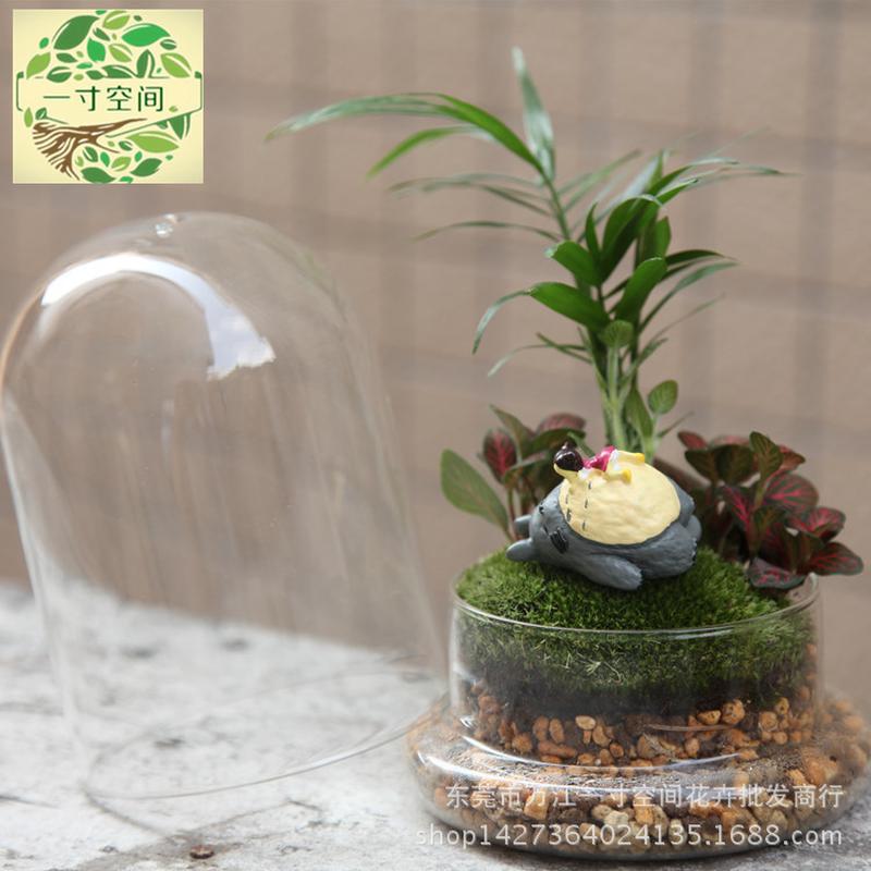 苔藓微景观休闲时刻套装创意礼品微景观diy摆件