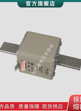 热销快速熔断器保险丝3NA32443NA32503NA32523NA32543NA3260
