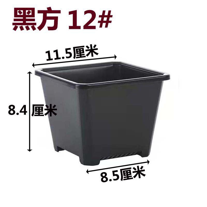 景天盆黑方白方多肉盆厂家批发电商育苗盆基地花盆多肉基地用
