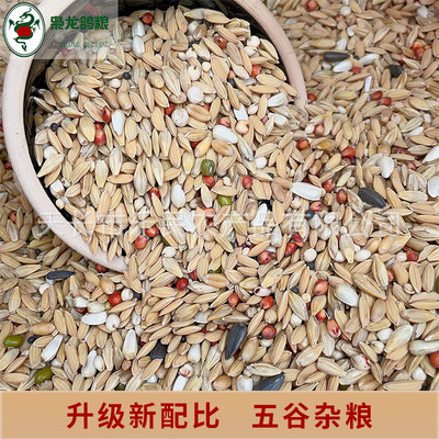 枭龙鸽粮标准鸽a2赛清除信鸽营养鸽饲料稻谷鸟食鸽子食45斤