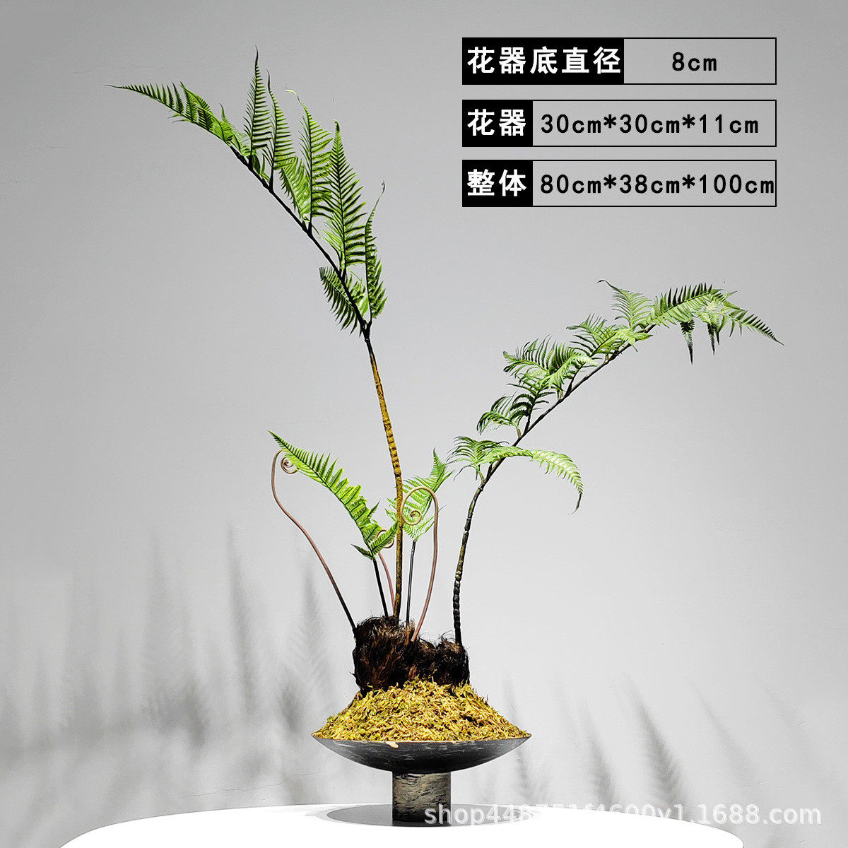 新中式仿真绿植文竹盆栽样板房客厅酒店玄关植物盆景禅意茶室摆件