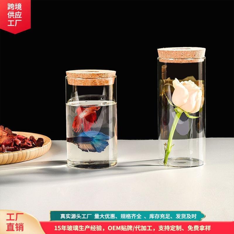 现代微景观玻璃罐简约玻璃工艺生态瓶迷你带灯香薰许愿瓶装饰摆件