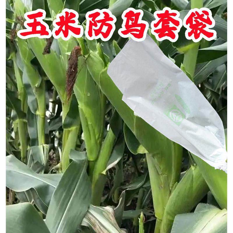 热销放老鼠套袋儿果农防鸟吃的育防乌雀虫袋种植玉米啃咬雨水,鲜花速递/花卉仿真/绿植园艺,园艺用品套装,淘宝优惠券,粉丝福利购,淘宝优惠卷