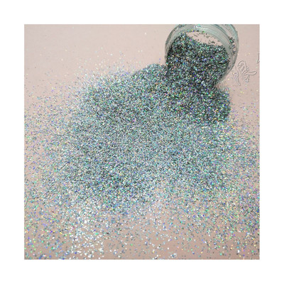 耐溶剂化妆银0.4-2mm64128pet金葱粉美甲细闪粉亮片镭射圣诞礼品