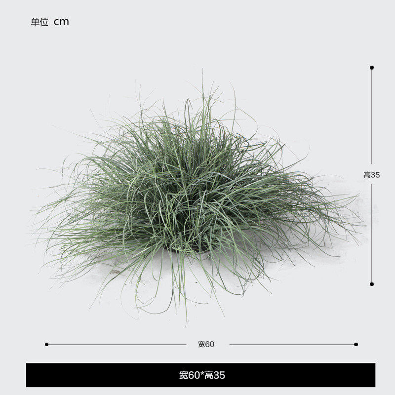 森林系摄影道具假花家装露营风兰草植物产品装饰物拍照