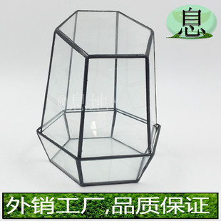 16035k 玻璃直销微景观几何多肉植物玻璃花房多肉工厂花房 包邮