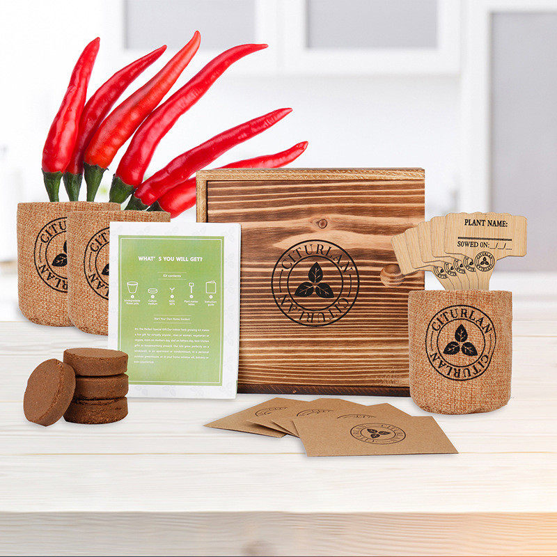 端午节植物花盆套装花园种植多肉套件可降解生长袋厂家批发,鲜花速递/花卉仿真/绿植园艺,花盆,淘宝优惠券,粉丝福利购,淘宝优惠卷