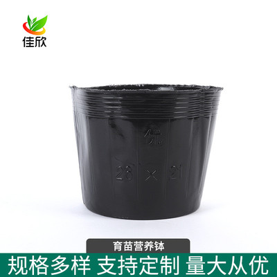 黑色农用营养杯育苗盆塑料育苗杯种植袋简易营养袋育苗袋营养钵