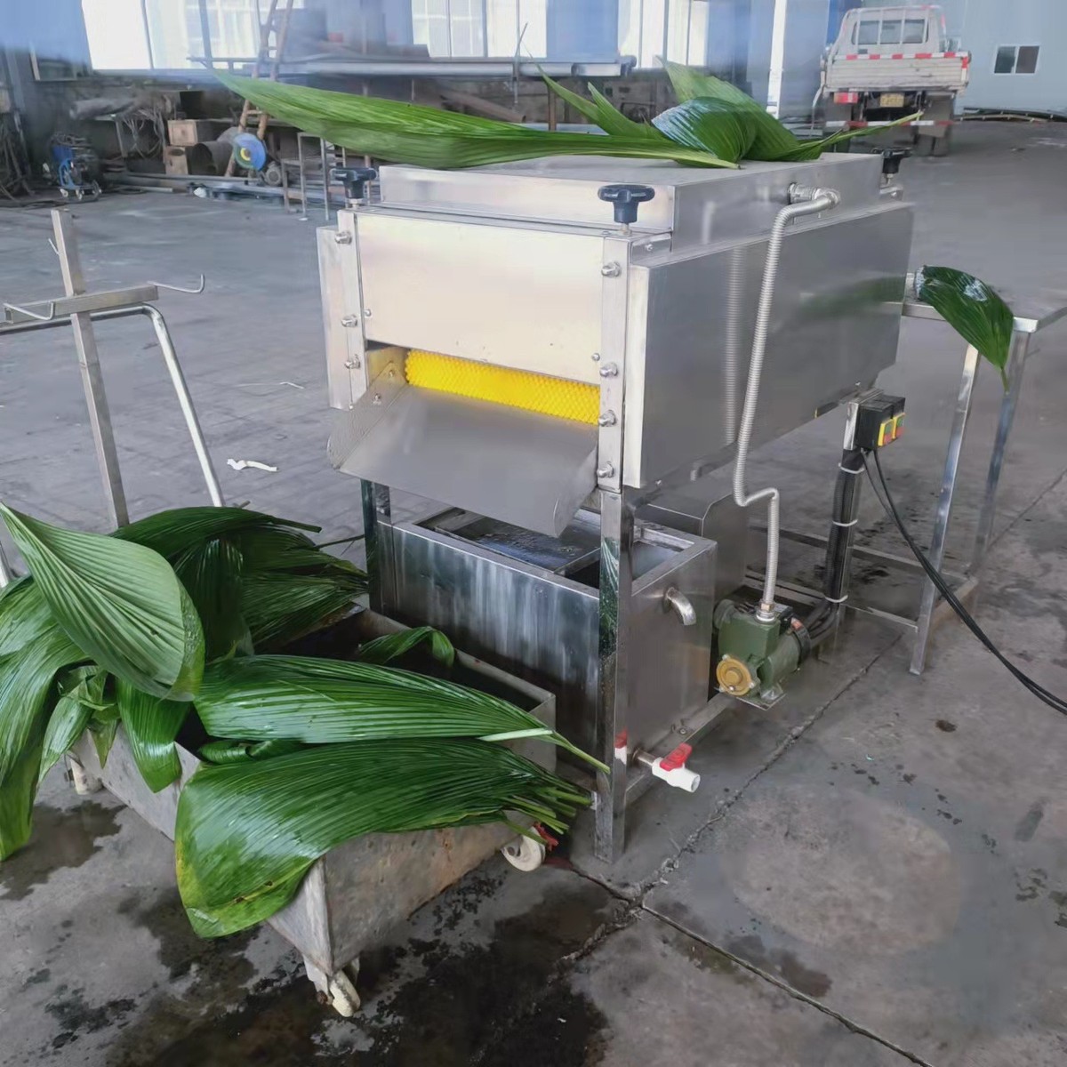 嘉兴粽叶清洗机 水循环过滤洗粽叶机器 全自动桲椤叶竹叶洗菜机厂