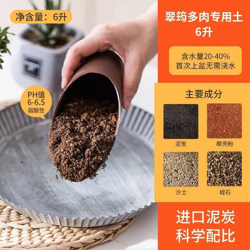 多肉小花盆陶瓷带托盘可爱小白盆小号白色长方形仙人掌多肉盆直销