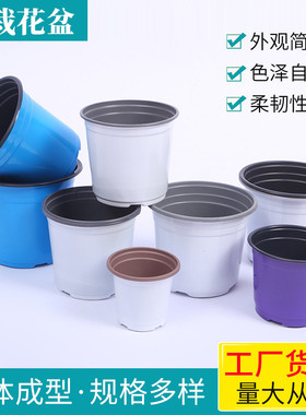 厂家供应盆栽双色花盆pp花盆多肉白塑料育苗盆简易紫色蓝色双色盆