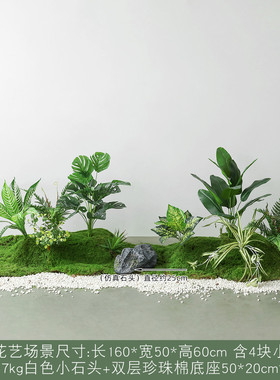 装饰植物苔藓造景仿真花组合微景观仿生绿高端轻奢植室内摆件盆景