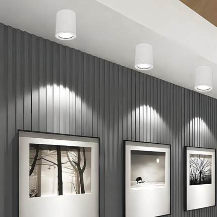 led明装筒灯单色圆形筒灯螺旋口酒店商照明装天花筒灯雨棚传统筒