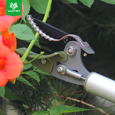 采果施worth高枝采果剪摘果器高枝剪高空沃剪琵琶荔枝摘果剪1034