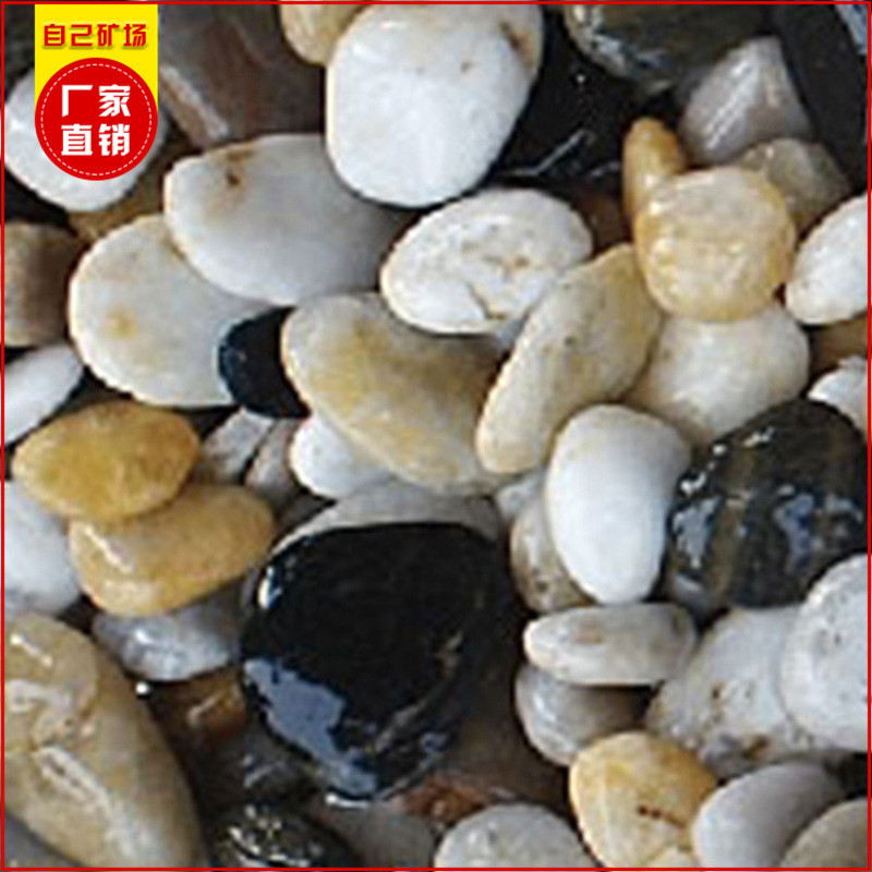 石头雨花石深圳厂家直销五彩雨花石白色黑色雨花天然鹅卵石批发