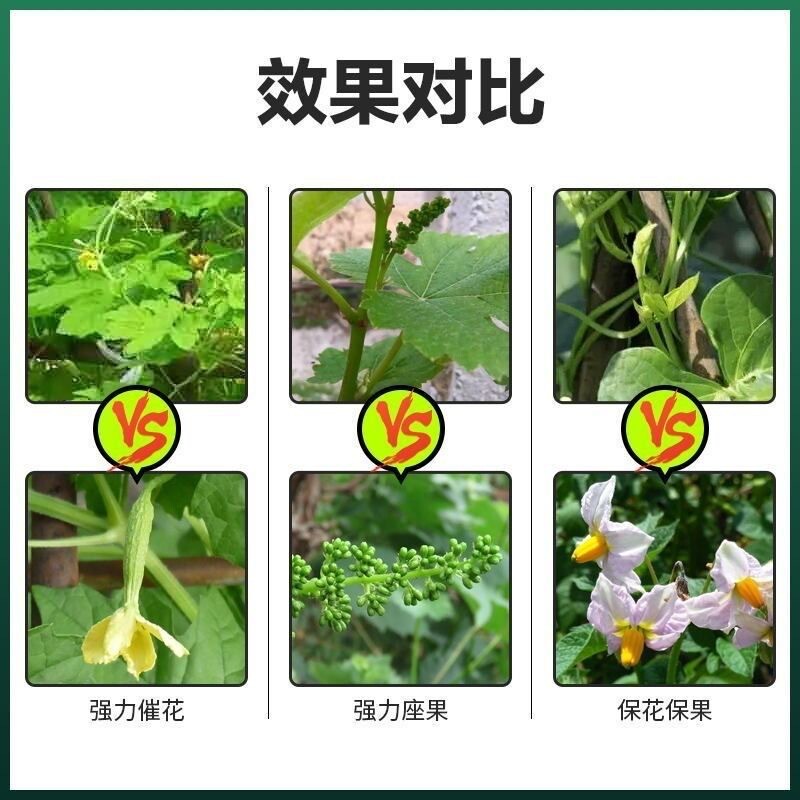 促花催花座果灵瓜果树蔬菜授粉防落素促叶面增产防裂膨大开花肥料